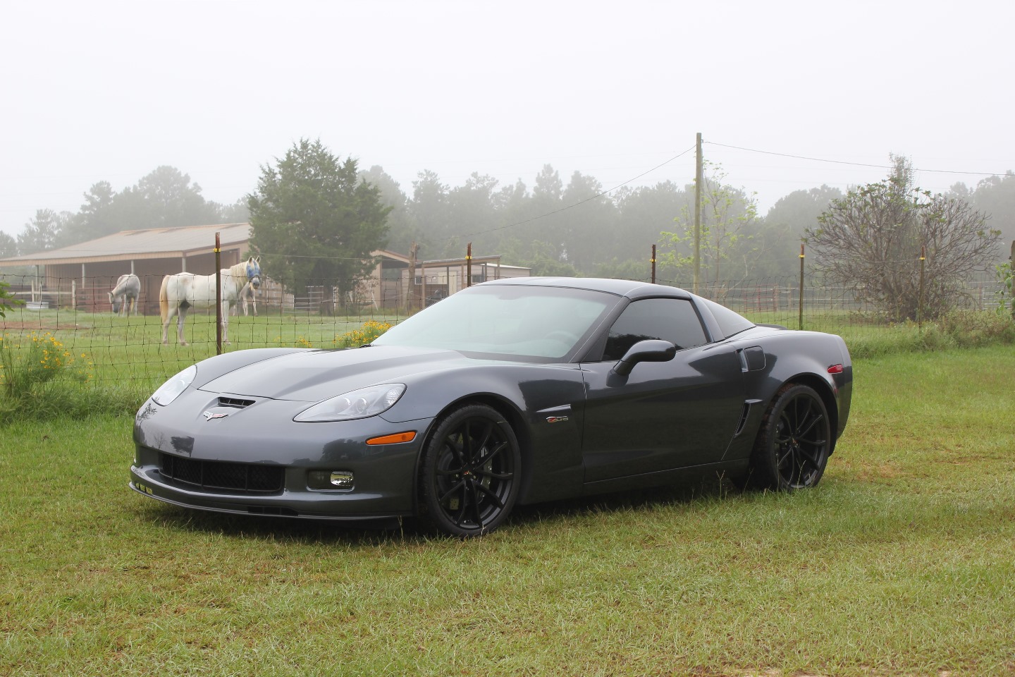 Car-Grid Car Banner